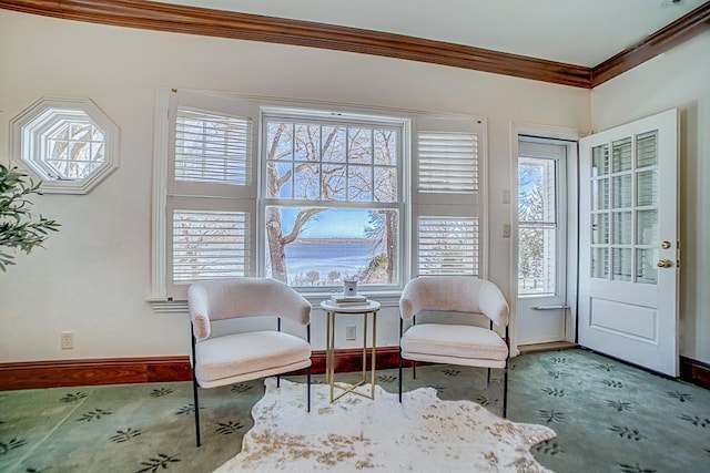 4927 Lake Ave, White Bear Lake, MN 55110 - sitting room with plenty of natural light, baseboards, and ornamental molding