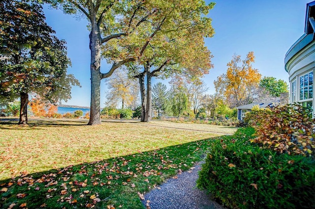 4927 Lake Ave, White Bear Lake, MN 55110 - surrounding community featuring a lawn