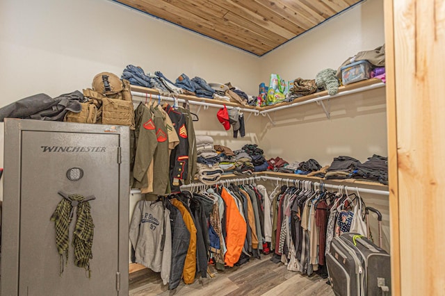 20462 Little Alps Rd NW, Evansville, MN 56326 - walk in closet with wood finished floors