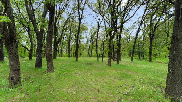 3097 120th Ave SE, Clear Lake, MN 55319 - photo 35