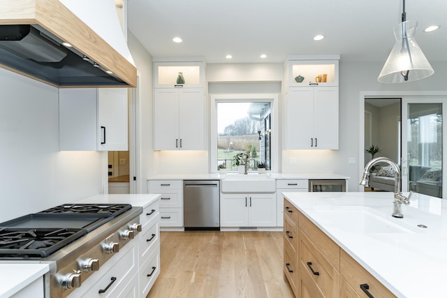 3251 Century Ridge Pl NE, Rochester, MN 55906 - kitchen with appliances with stainless steel finishes, custom exhaust hood, a sink, light wood-type flooring, and light countertops