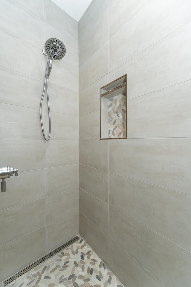 3251 Century Ridge Pl NE, Rochester, MN 55906 - full bath featuring tiled shower