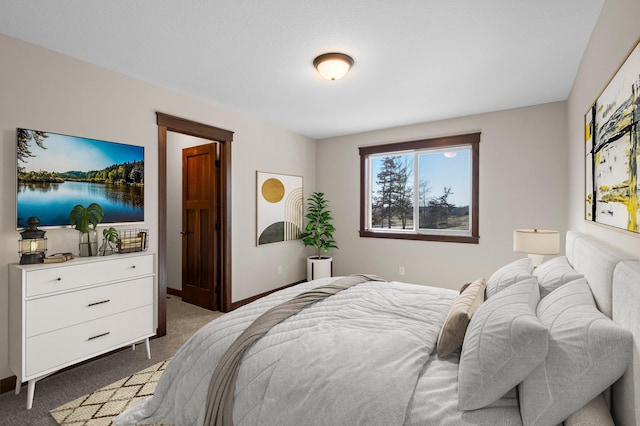 27290 Petes Hill Trl, Elko New Market, MN 55020 - bedroom featuring baseboards and carpet
