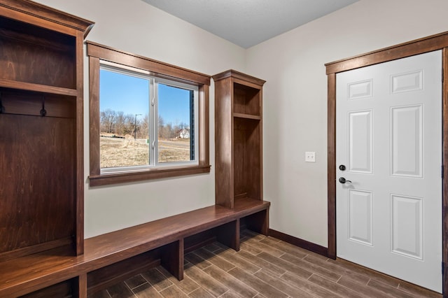 27290 Petes Hill Trl, Elko New Market, MN 55020 - mudroom featuring baseboards and wood tiled floor