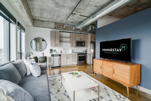 728 3rd St Unit 508, Minneapolis, MN 55401 - living area featuring baseboards and wood finished floors