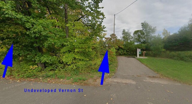 GOVLOT2 Vernon St, Garrison Twp, MN 56450 - photo 3