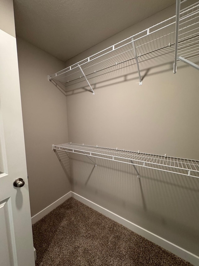 9829 89th St S, Cottage Grove, MN 55016 - spacious closet with carpet