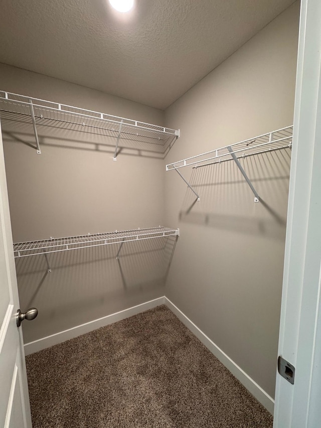 9829 89th St S, Cottage Grove, MN 55016 - walk in closet featuring carpet floors