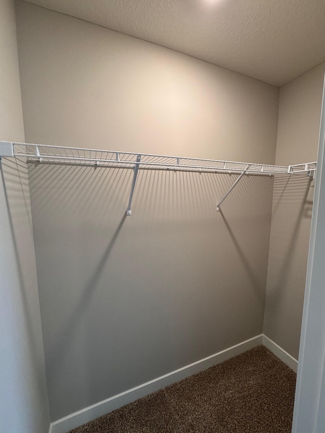 9829 89th St S, Cottage Grove, MN 55016 - walk in closet featuring dark carpet