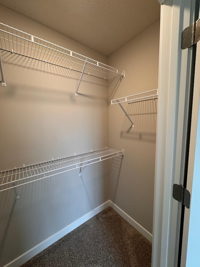 9829 89th St S, Cottage Grove, MN 55016 - spacious closet featuring dark colored carpet