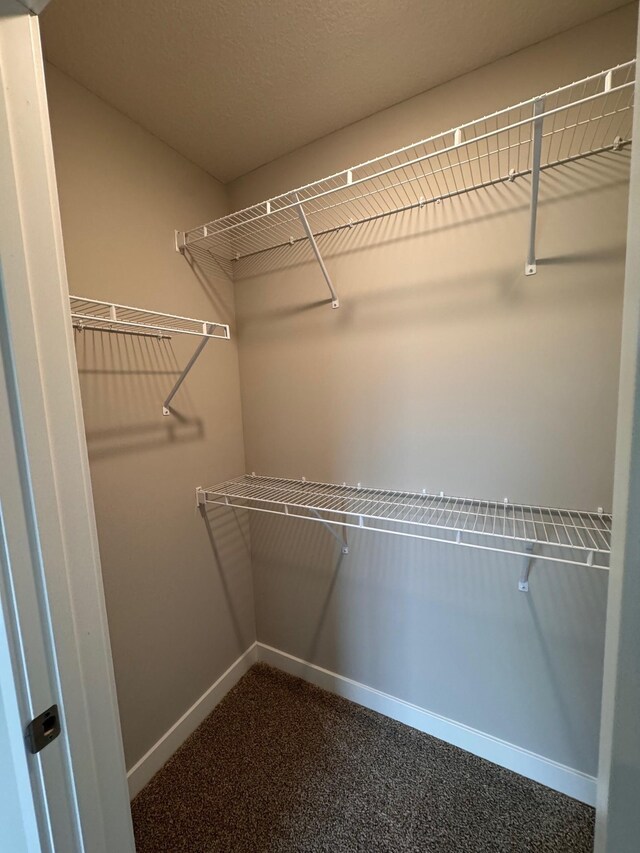 9829 89th St S, Cottage Grove, MN 55016 - walk in closet with dark colored carpet