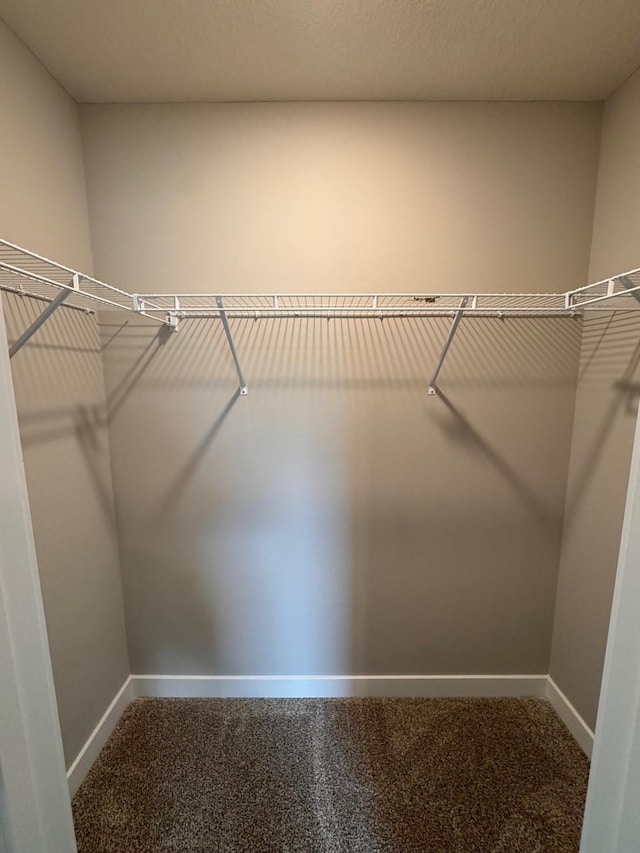 9829 89th St S, Cottage Grove, MN 55016 - walk in closet with carpet flooring