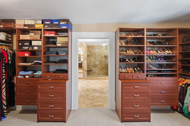 spacious closet with light colored carpet