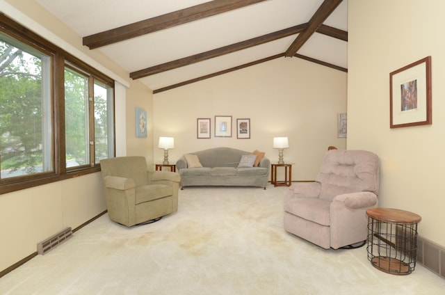 9805 Jackson St NE, Blaine, MN 55434 - view of carpeted living room