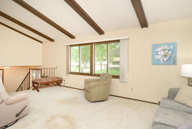 9805 Jackson St NE, Blaine, MN 55434 - carpeted living room featuring baseboards