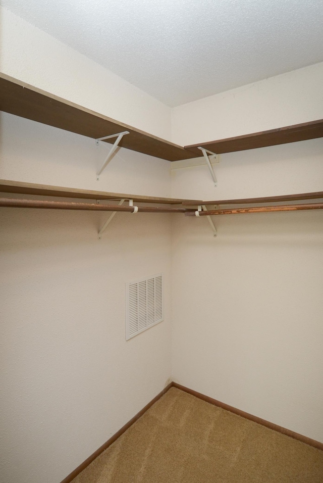 9805 Jackson St NE, Blaine, MN 55434 - walk in closet featuring carpet