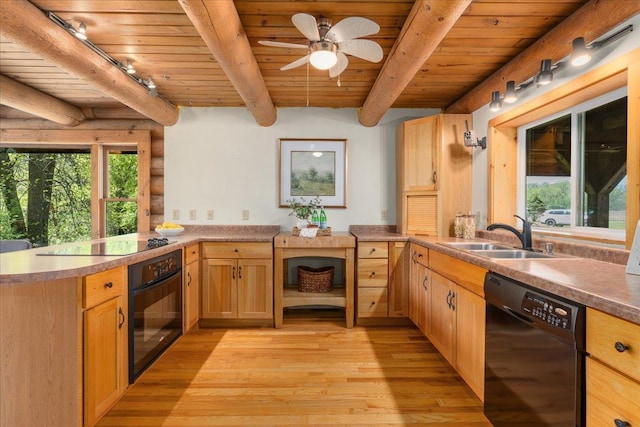 1100 155th St, Garfield Twp, WI 54001 - kitchen with black appliances, wood ceiling, a sink, beam ceiling, and light wood-style floors