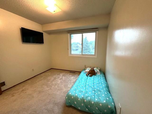 11620 Oregon Ave N, Champlin, MN 55316 - unfurnished bedroom with carpet and a textured ceiling