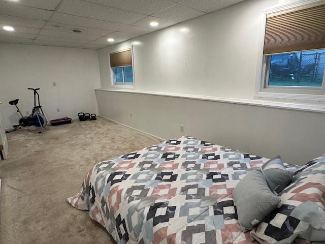 11620 Oregon Ave N, Champlin, MN 55316 - bedroom featuring carpet and recessed lighting