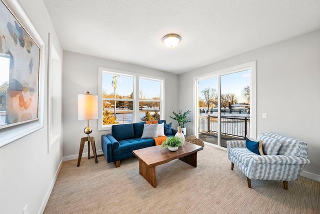 living area with baseboards, light colored carpet, and a textured ceiling