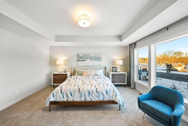 carpeted bedroom featuring a tray ceiling, baseboards, access to exterior, and a textured ceiling