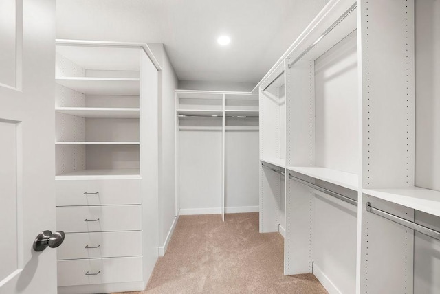 spacious closet featuring light carpet