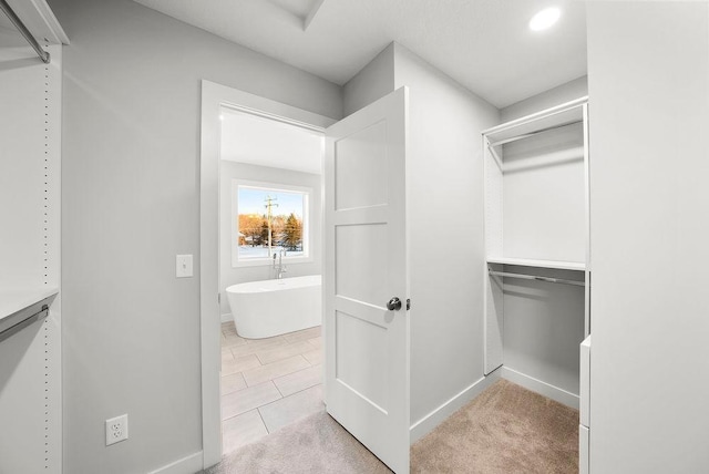 spacious closet featuring light carpet