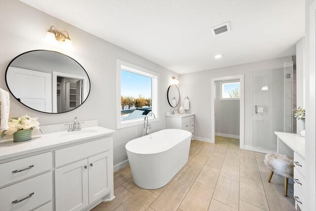 2712 Kensington Ave NE, Saint Michael, MN 55376 - full bathroom featuring vanity, a freestanding bath, and baseboards