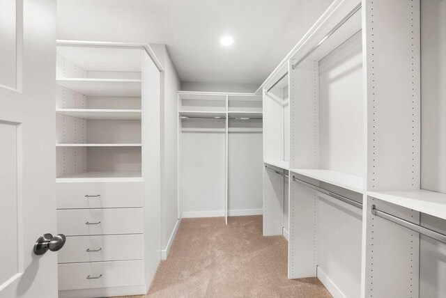 2712 Kensington Ave NE, Saint Michael, MN 55376 - walk in closet with light colored carpet