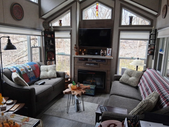 2945 County Road 4 SW Unit 69, Cokato, MN 55321 - living area with wood finished floors, a fireplace, and high vaulted ceiling