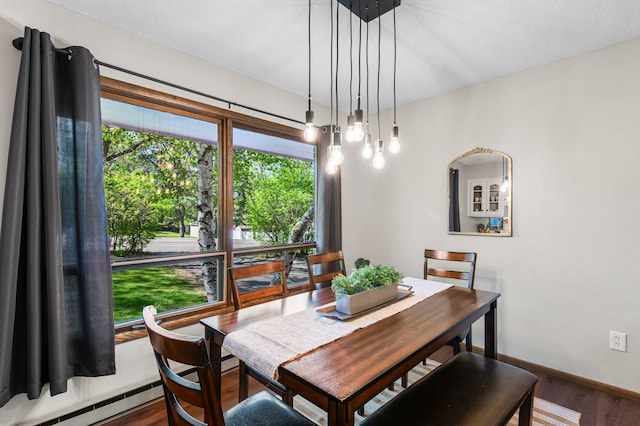 dining room with wood finished floors, baseboards, and a baseboard radiator