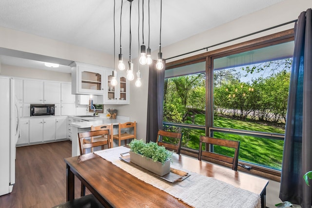 dining space with healthy amount of natural light and dark wood-style floors