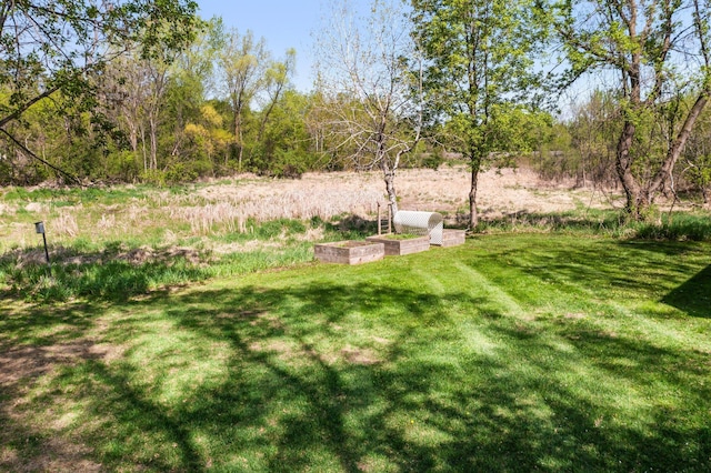 view of grassy yard