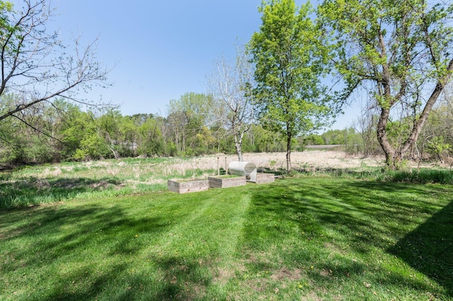 view of green lawn featuring a vegetable garden