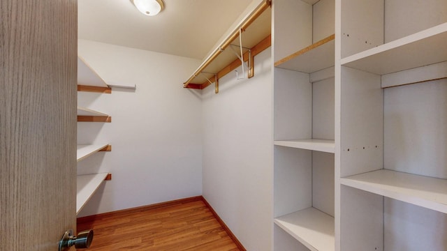 930 5th Ave, Goodhue, MN 55027 - walk in closet with light wood-style floors