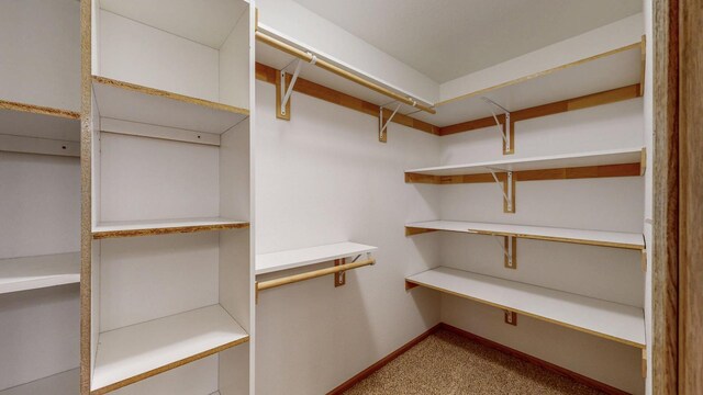 930 5th Ave, Goodhue, MN 55027 - view of spacious closet