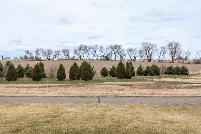 930 5th Ave, Goodhue, MN 55027 - view of yard featuring a rural view