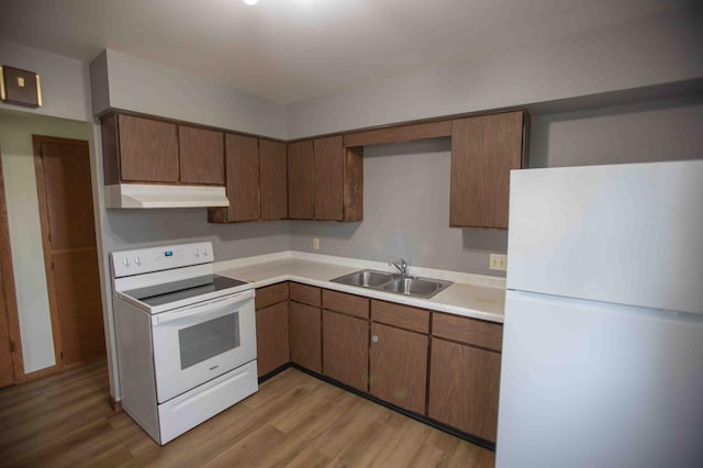 kitchen with white appliances, light wood-style flooring, under cabinet range hood, light countertops, and a sink