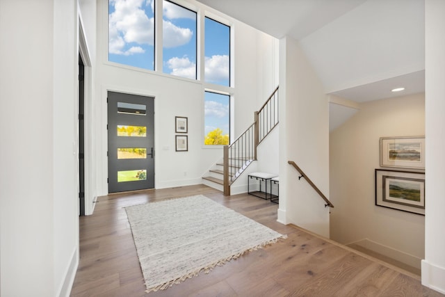foyer featuring baseboards, a towering ceiling, and wood finished floors