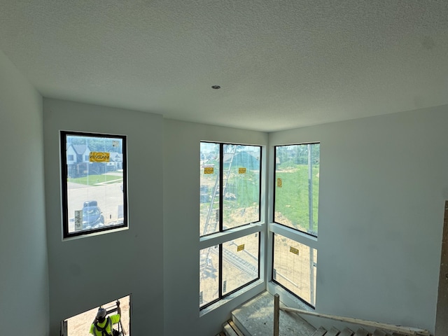 705 Ensconced Way, Chaska, MN 55318 - detailed view of a textured ceiling