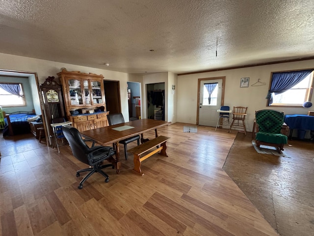 living area with plenty of natural light, a textured ceiling, and light wood-style floors