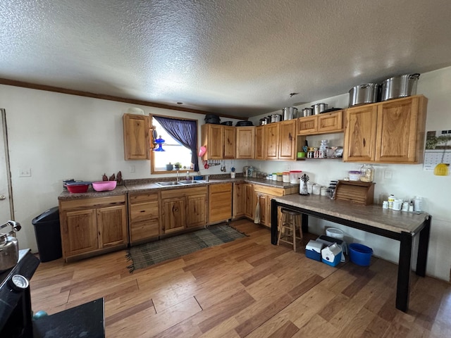 kitchen featuring wood finished floors, open shelves, ornamental molding, and a sink