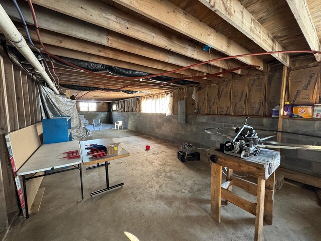 basement featuring electric panel
