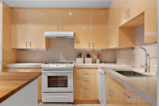 290 Market St Unit 314, Minneapolis, MN 55405 - kitchen with under cabinet range hood, light brown cabinetry, a sink, and white appliances