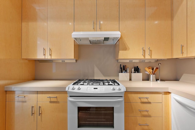 290 Market St Unit 314, Minneapolis, MN 55405 - kitchen with under cabinet range hood, light countertops, light brown cabinetry, and white appliances