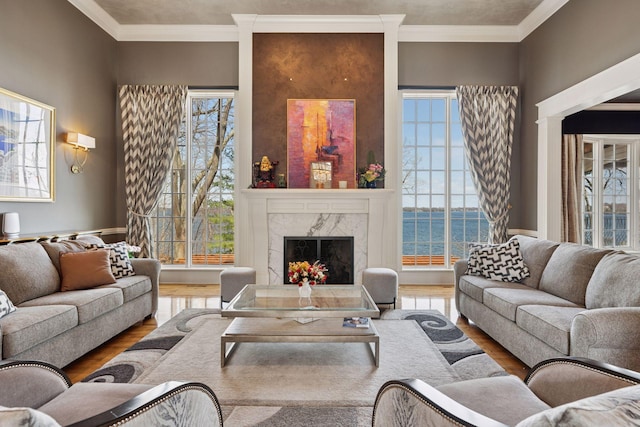 6425 Virginia Dr, Victoria, MN 55331 - living area with wood finished floors, a premium fireplace, ornamental molding, and a water view