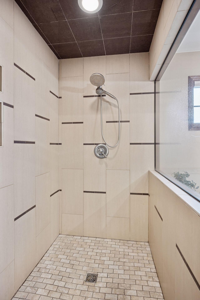 21804 Majestic Dr, Saint Augusta, MN 55320 - full bath featuring a tile shower