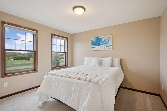 21804 Majestic Dr, Saint Augusta, MN 55320 - bedroom with baseboards and carpet flooring