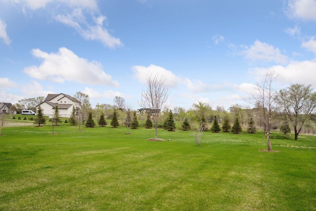 21804 Majestic Dr, Saint Augusta, MN 55320 - view of yard