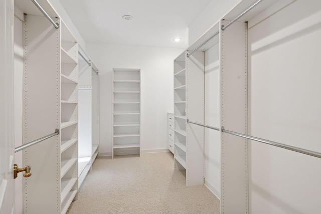 4 Antrim Ter, Edina, MN 55439 - view of walk in closet